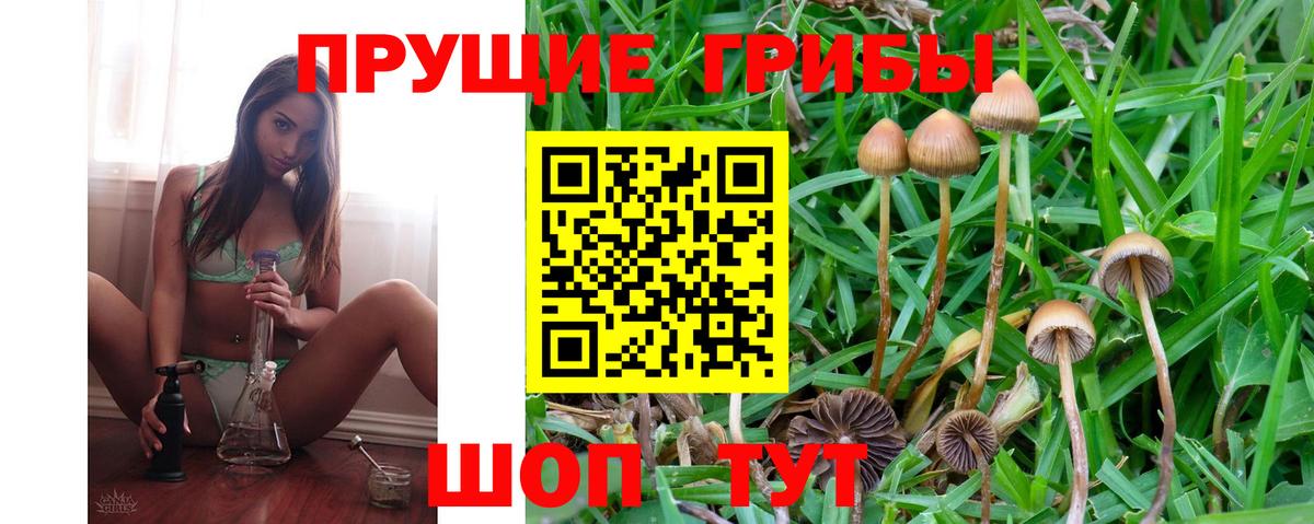 Кизляр  наркота  Вход с VPN  Галлюциногенные грибы Psilocybine cubensis  Псилоцибиновые грибы GOLDEN TEACHER 