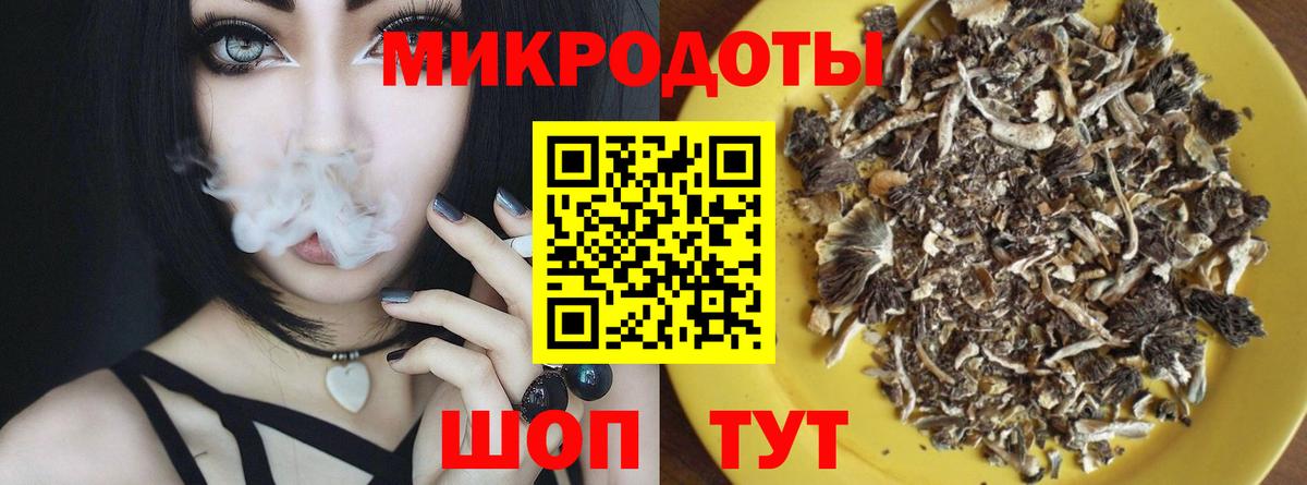 Псилоцибиновые грибы Cubensis Кизляр